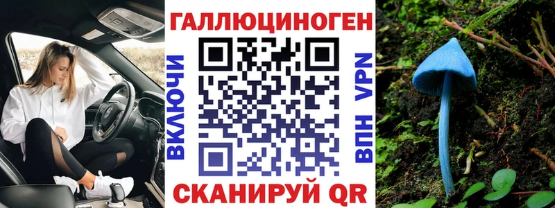 Купить Злынка Псилоцибиновые грибы мицелий